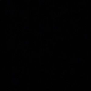 Meet your Posher, Jack